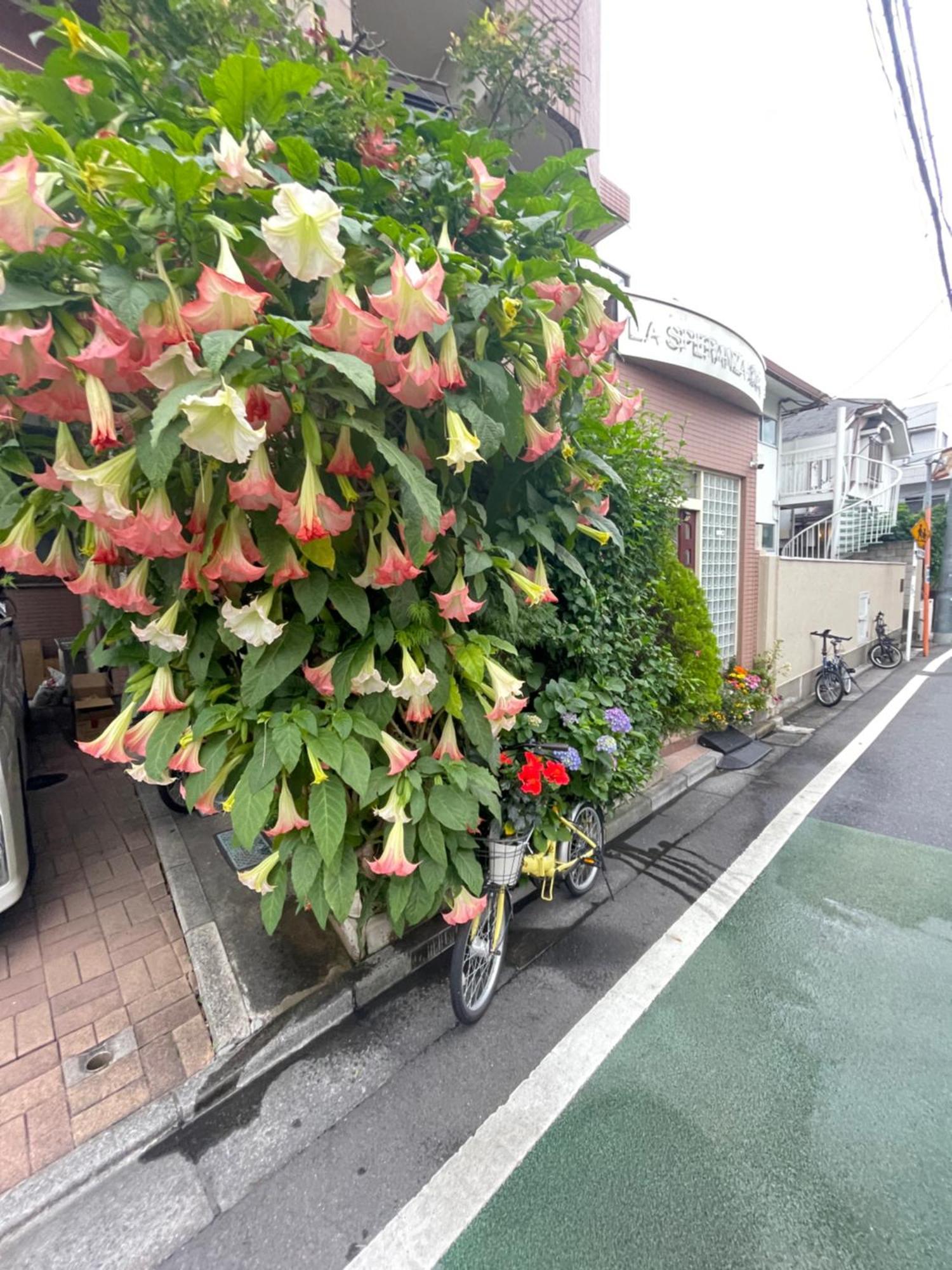 新宿庭院の屋-Shinjuku Garden Home -28 Square Meters King Size Bed Garden Room Токіо Екстер'єр фото
